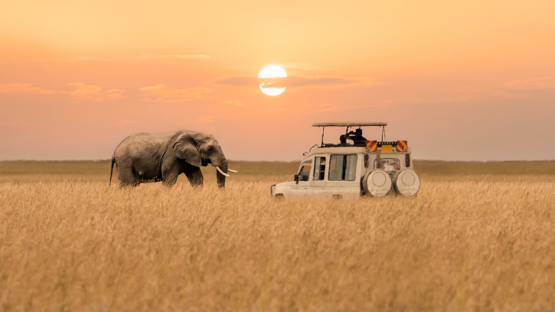 African Safari Landscape