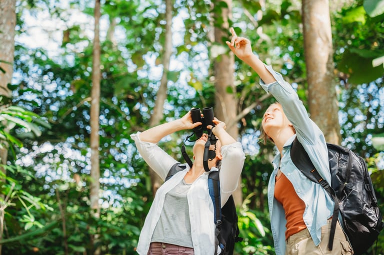 Woman family walking in the forest watching a bird using binoculars
