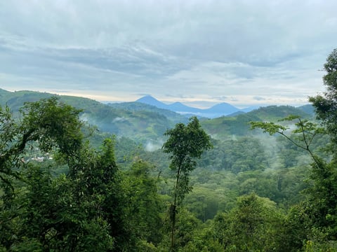 Hiking through the rainforest