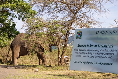 Arusha, Tanzania - November 17, 2024: Elephant sculpture and large information visitors sign to welcome tourists at entrance of Arusha National Park in Tanzania East Africa