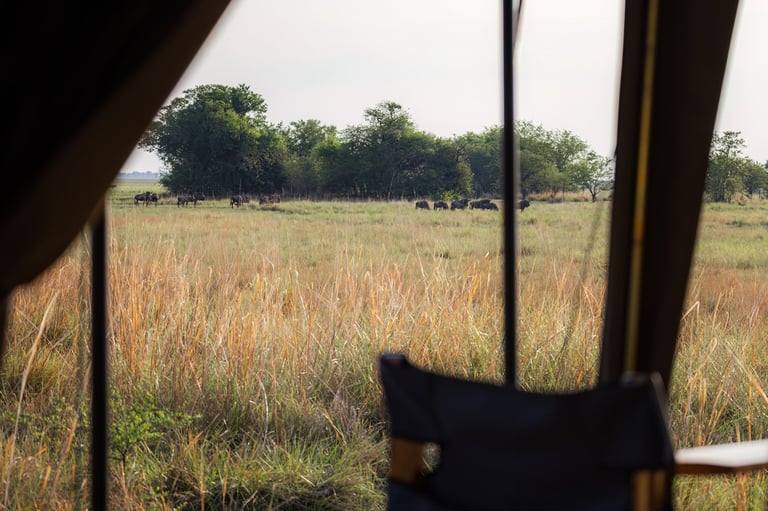 Safari tent with savannah view