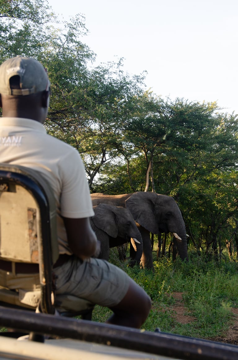 Tented safari camp in the wilderness
