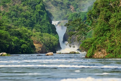 The Murchison waterfall on the Victoria Nile northern Uganda, Africa