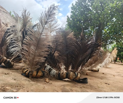 Large palm tree trunks with thick fronds lying on sandy ground in a tropical setting with trees and blue sky