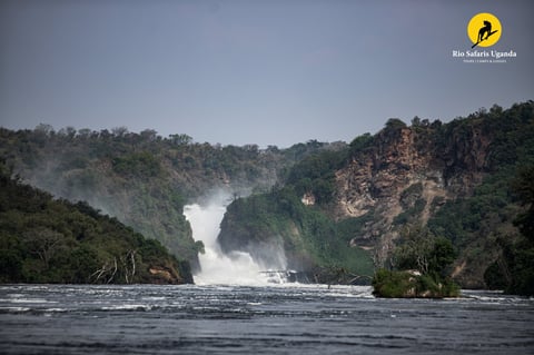 Murchison Falls waterfall cascading down rocky cliffs surrounded by dense forest along the Nile River in Uganda