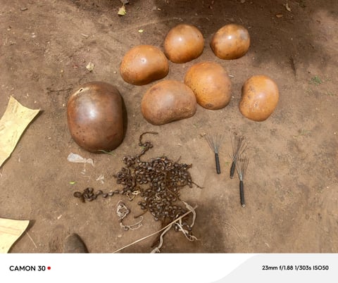Archaeological specimen display showing pottery sherds and artifacts arranged on brown soil