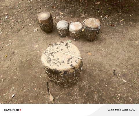 Five weathered tree stumps arranged on dirt ground, with one larger stump in foreground and four smaller stumps behind it